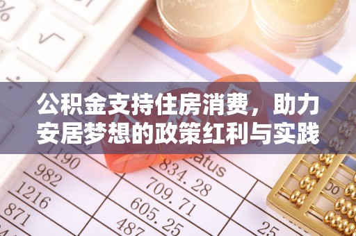 青龙公积金支持住房消费，助力安居梦想的政策红利与实践