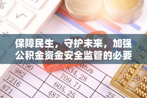 青龙保障民生，守护未来，加强公积金资金安全监管的必要性与实践