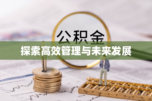 青龙探索高效管理与未来发展