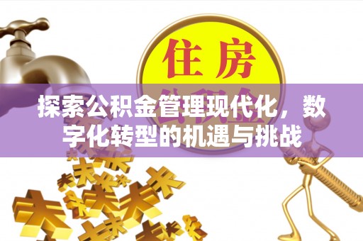 青龙探索公积金管理现代化，数字化转型的机遇与挑战