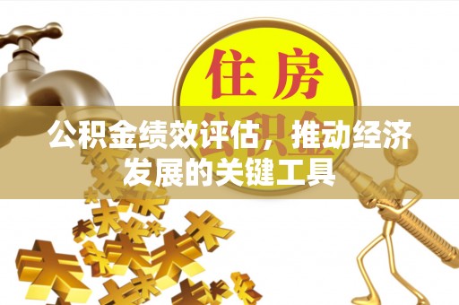 青龙公积金绩效评估，推动经济发展的关键工具