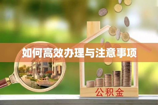 青龙如何高效办理与注意事项