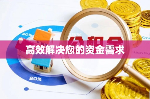 青龙高效解决您的资金需求