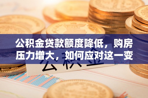 青龙公积金贷款额度降低，购房压力增大，如何应对这一变化？