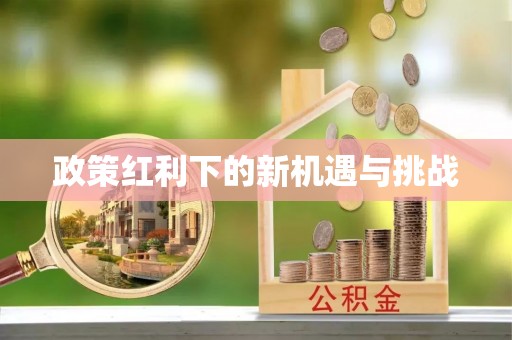 青龙政策红利下的新机遇与挑战