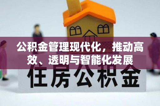 青龙公积金管理现代化，推动高效、透明与智能化发展