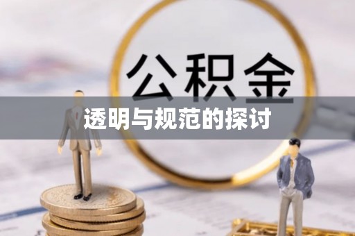 青龙透明与规范的探讨