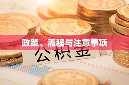 青龙政策、流程与注意事项