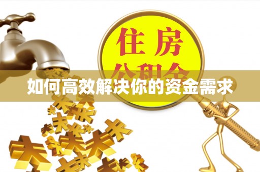 青龙如何高效解决你的资金需求
