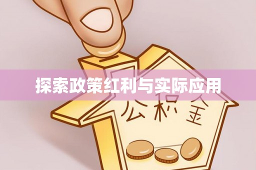 青龙探索政策红利与实际应用