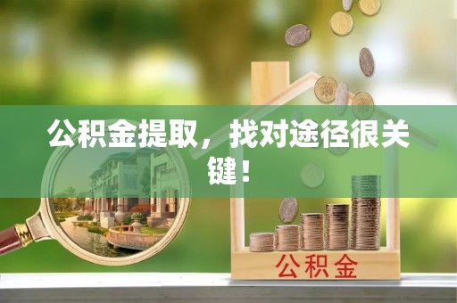 青龙公积金提取，找对途径很关键！