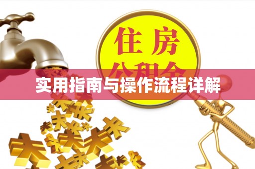 青龙实用指南与操作流程详解