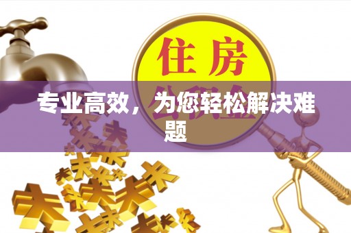 青龙专业高效，为您轻松解决难题