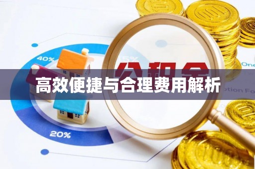 青龙高效便捷与合理费用解析