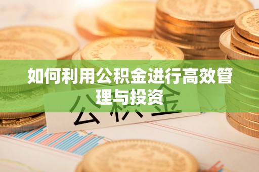 青龙如何利用公积金进行高效管理与投资