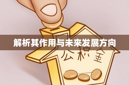 青龙解析其作用与未来发展方向