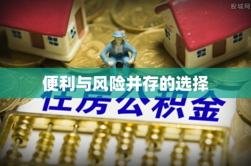 青龙便利与风险并存的选择