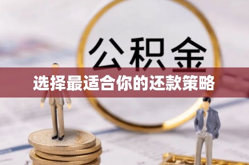 青龙选择最适合你的还款策略