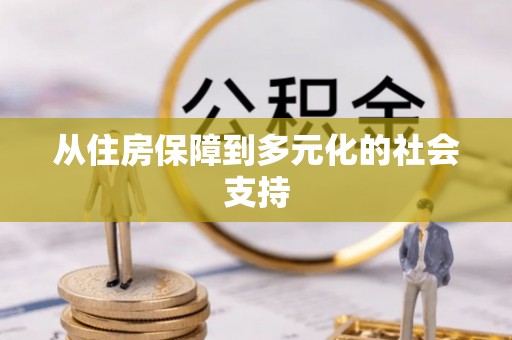 青龙从住房保障到多元化的社会支持