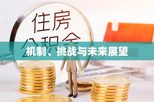 青龙机制、挑战与未来展望