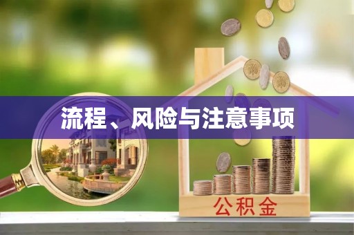 青龙流程、风险与注意事项