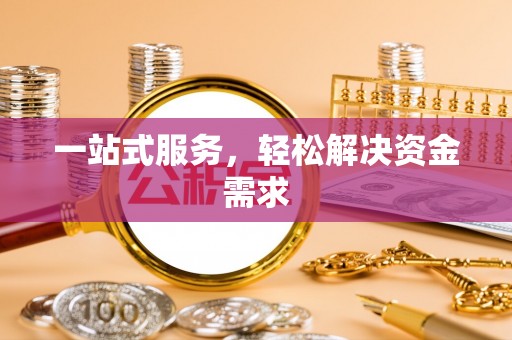 青龙一站式服务，轻松解决资金需求