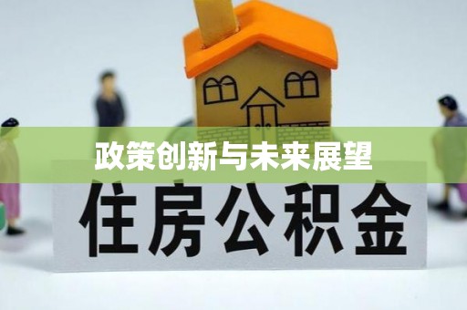 青龙政策创新与未来展望