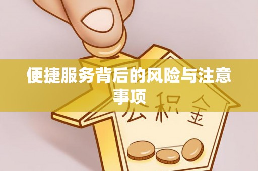青龙便捷服务背后的风险与注意事项