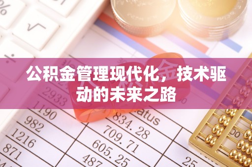 青龙公积金管理现代化，技术驱动的未来之路