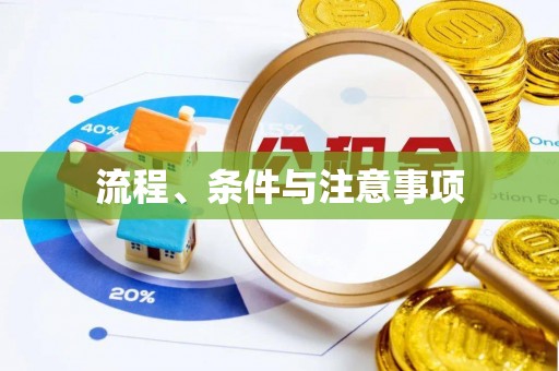 青龙流程、条件与注意事项